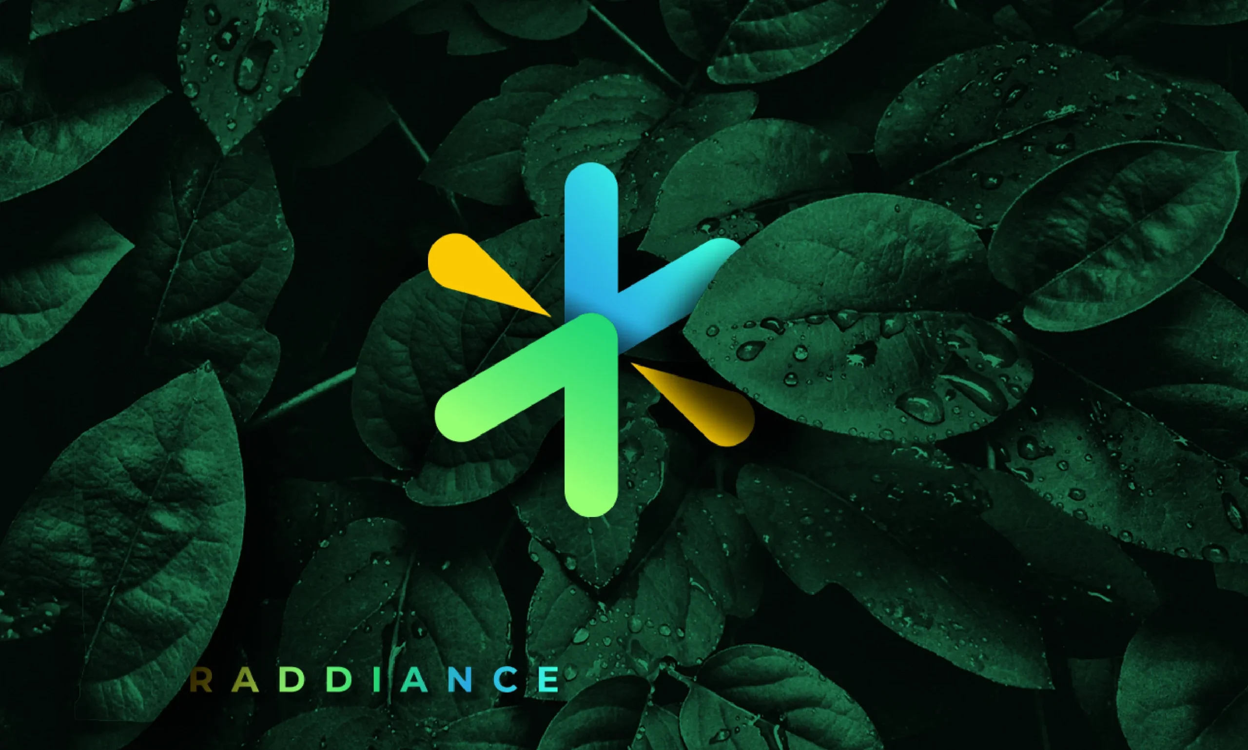 diseno-logotipo-con-calidad-profesional (1)